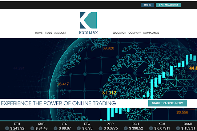 Editorial illustration for “How Kodimax Can Help You Preserve Your Wealth?”