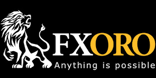Editorial illustration for “FXORO”